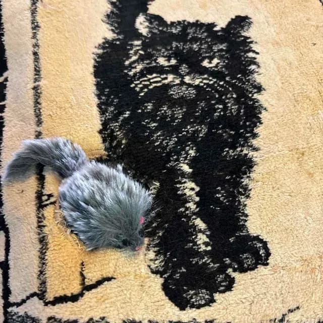Cat and Mouse Pad