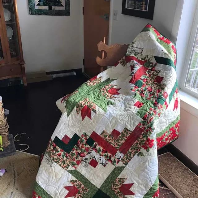 Christmas Cactus