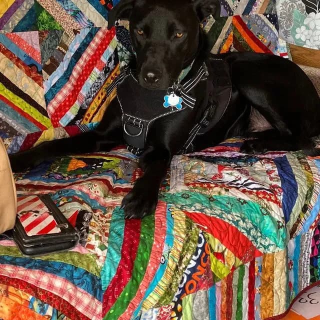 Bobs Scrappy Quilt