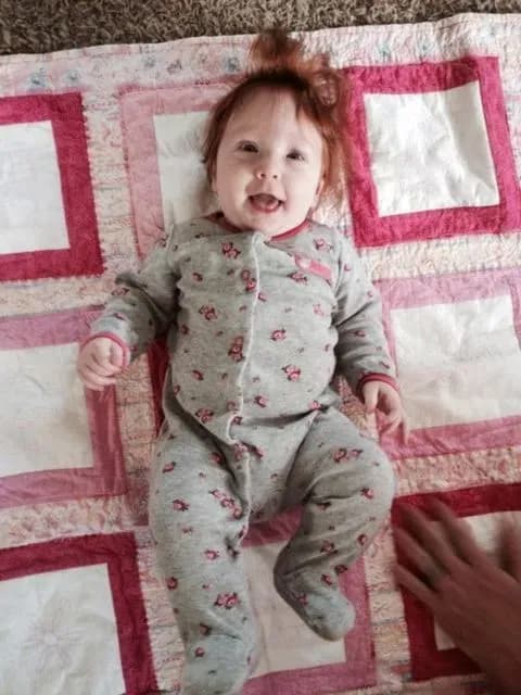 Violets Quilt