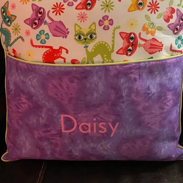 Book Pillows