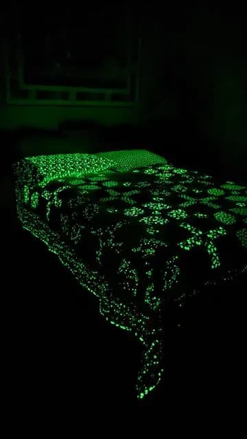 Monster Quilt