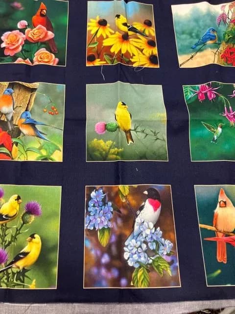 Songbird Panel