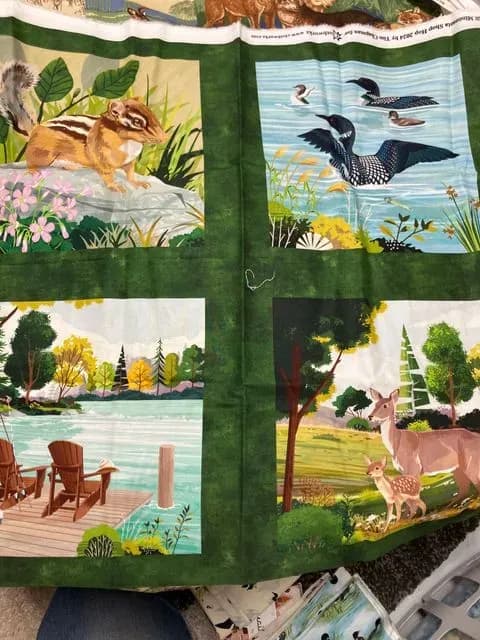Minnesota Panel