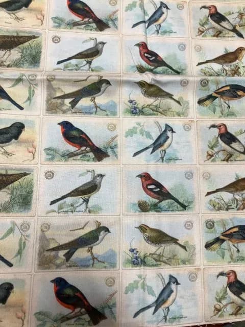 Bird Panel