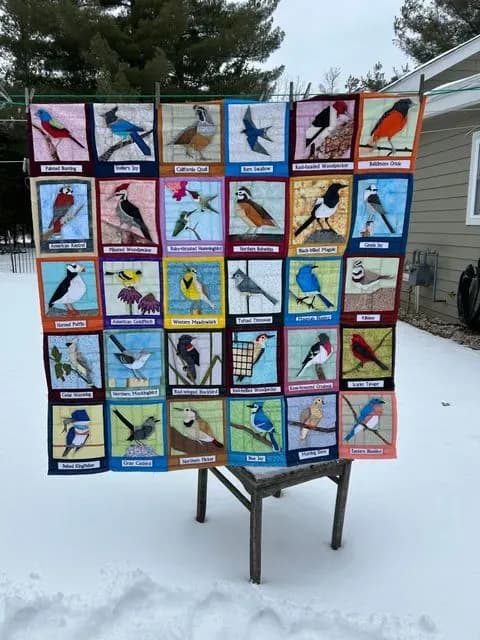 Birds Birds And More Birds