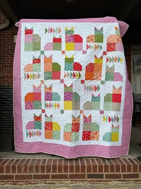 Calico Cats
