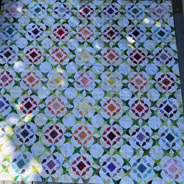 Morning Glories