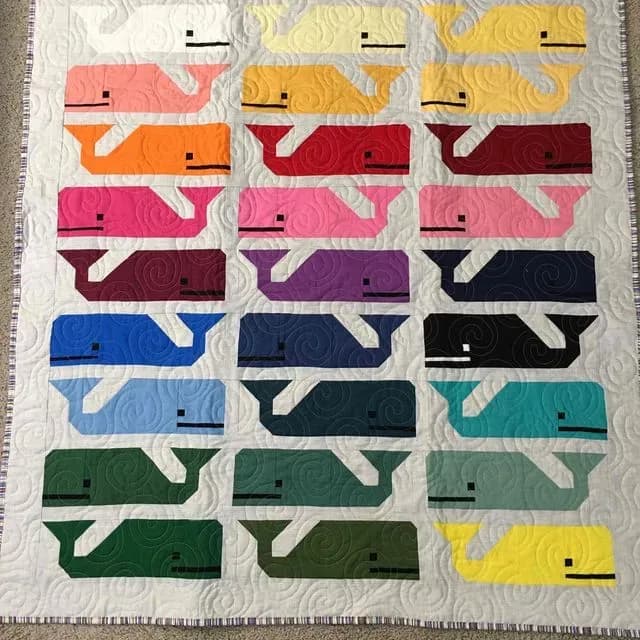070 Whales For Vinny