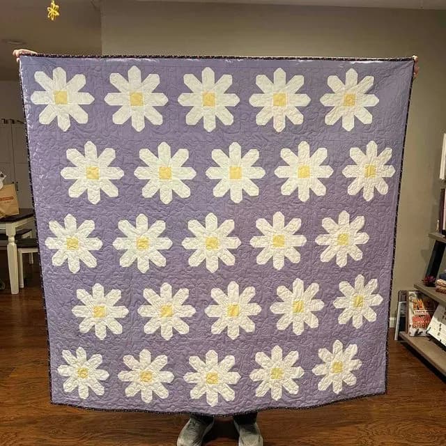 Daisy