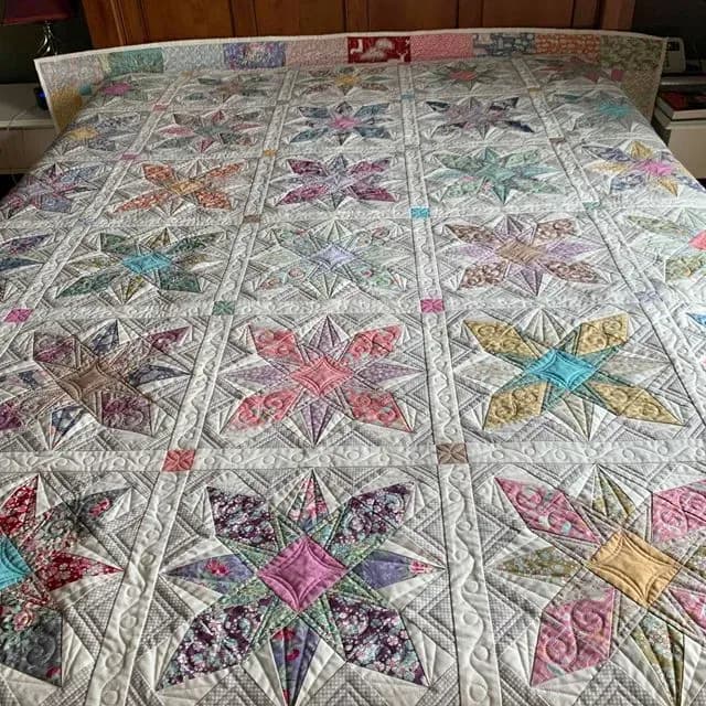 Lily’s Stars