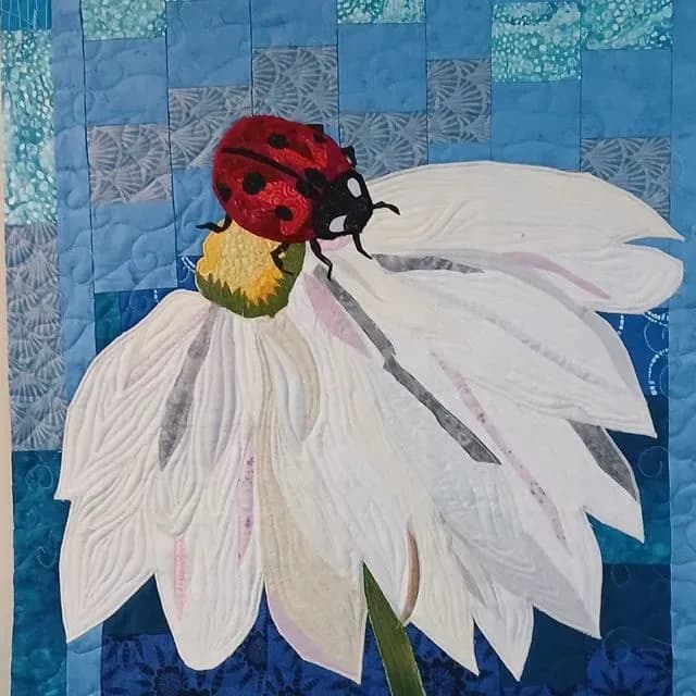 Beetle NO. 7 Our Ladybug of Compassion