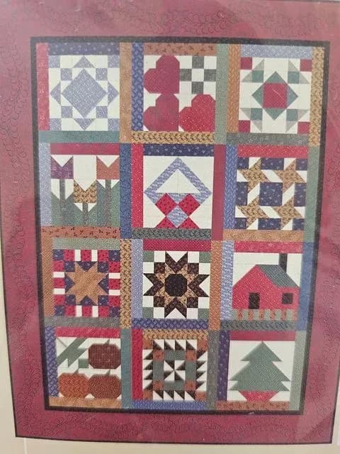 Thimbleberries Block Of The Month