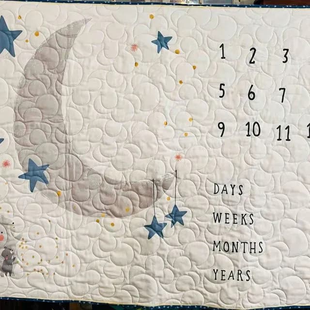 Tammy’s Milestone Quilt For Baby Shower