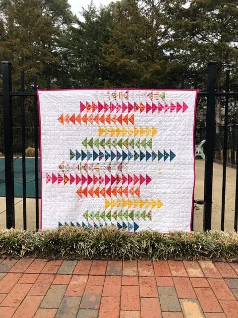 Rainbow Flying Geese