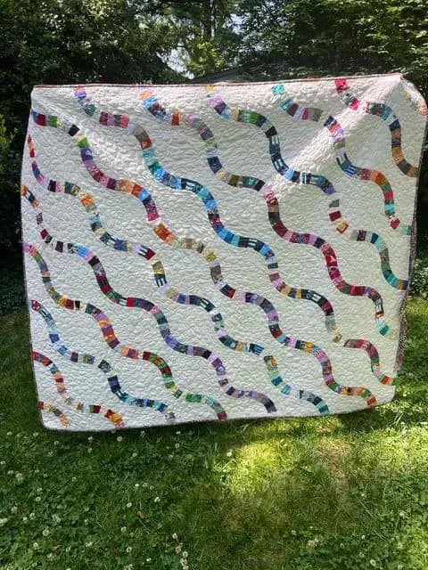 Snake Trails Quilt
