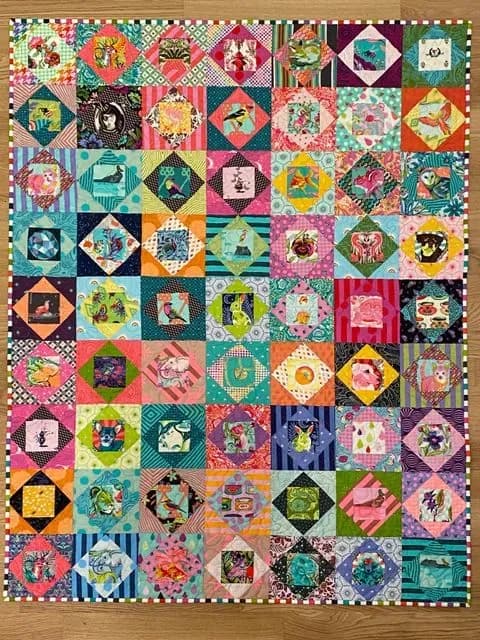 Tula Pink Economy Block Baby Quilt