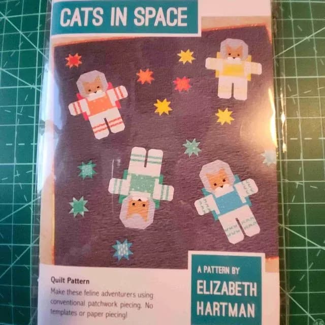 Cats In Space