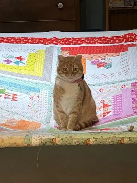 01 Quilting Life BOM