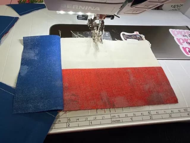 Texas Proud Panel Quilt