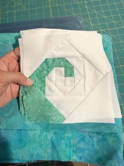 Turtle Quilt