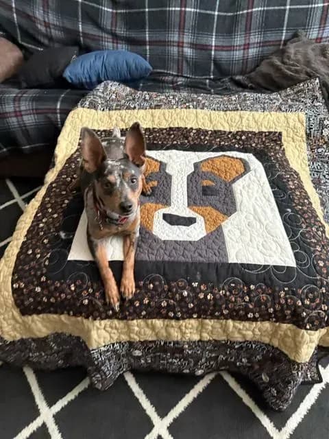 Minpin