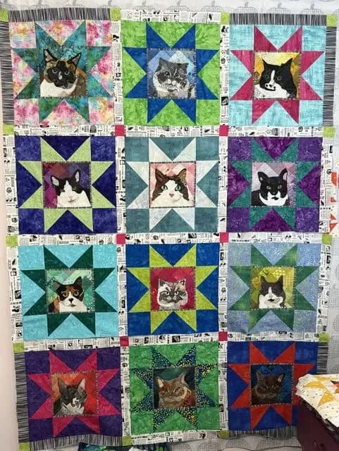 Timna Tarr Meow Mix