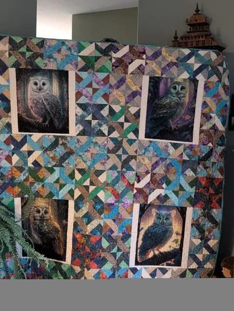 Owl Haven