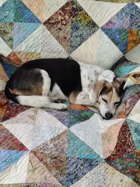 Abby's Quilt