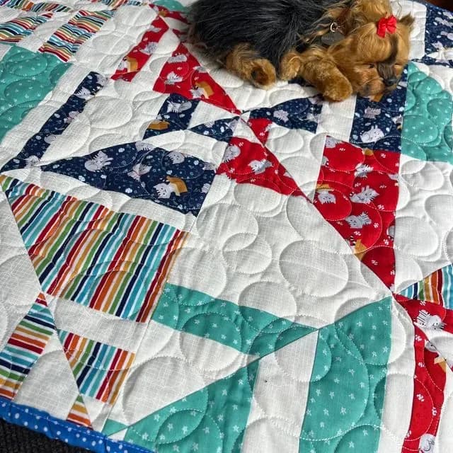 Pet Quilts