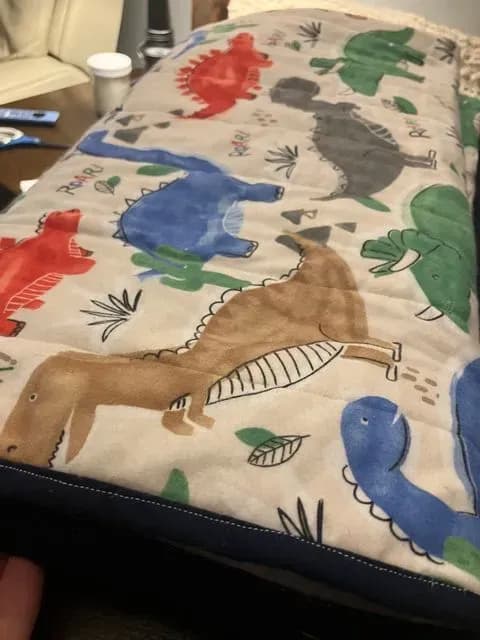 Flannel Dino Baby Quilt