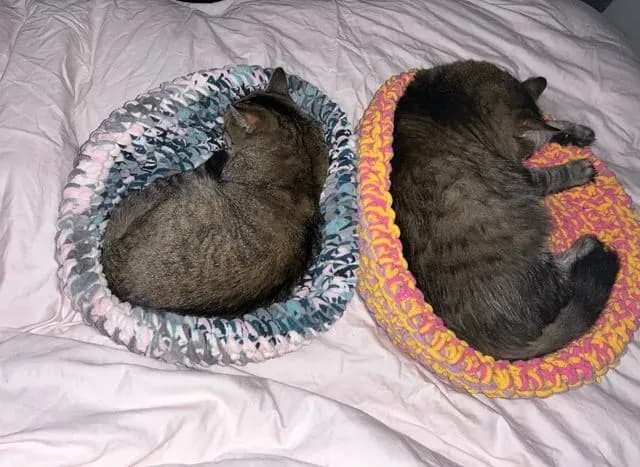 Crocheted Cat Beds