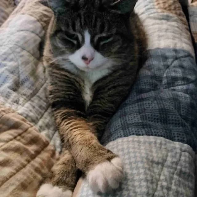 Ed's Flannel Chair Blanket