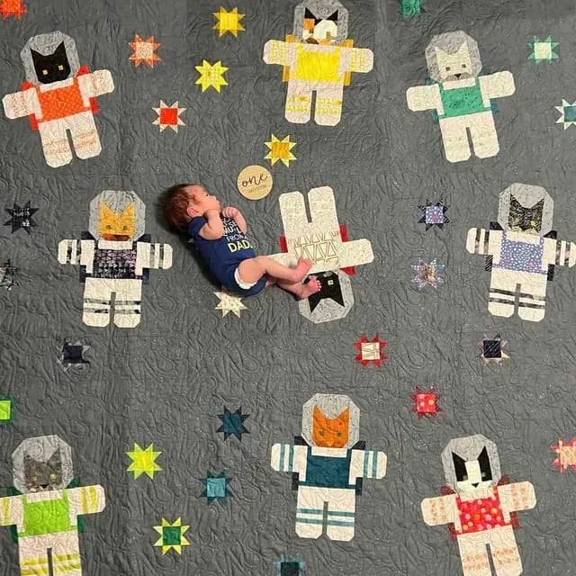 Cats In Space