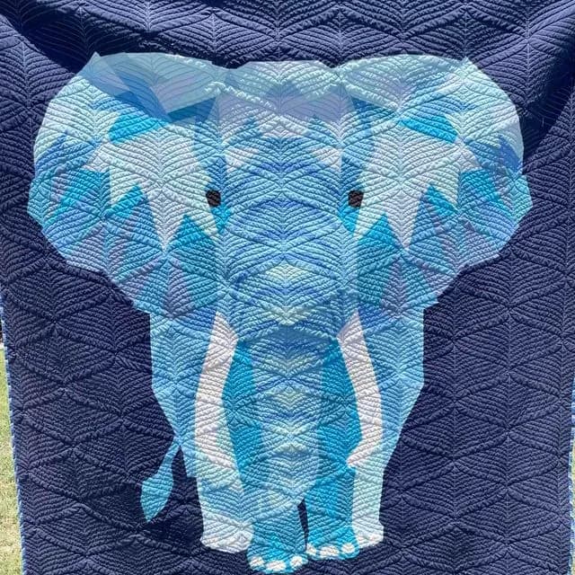 Elephant Abstraction