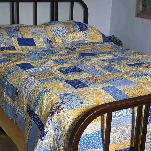 Yellow And Blue Delight