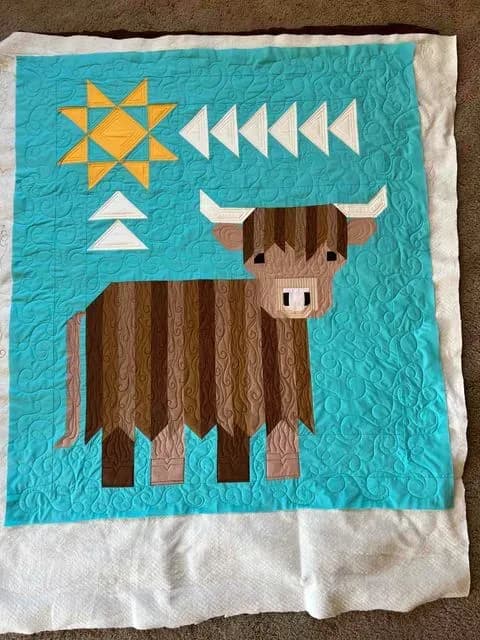 Highland Cow