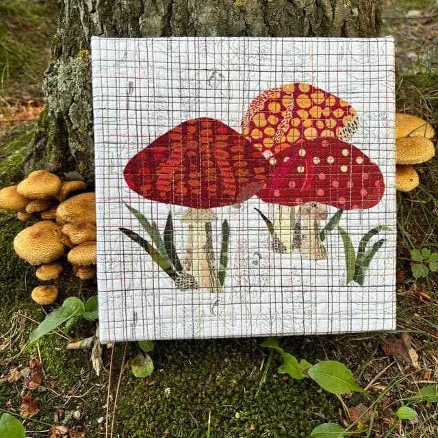 Mushroom collage