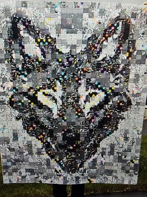 A Wolf In Wolfs Clothing