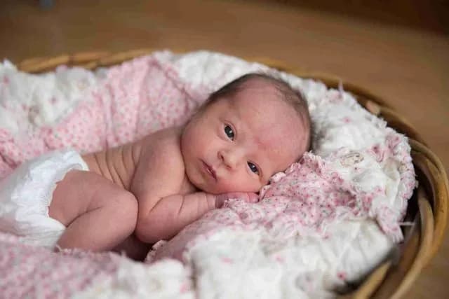 Evy's baby Quilt