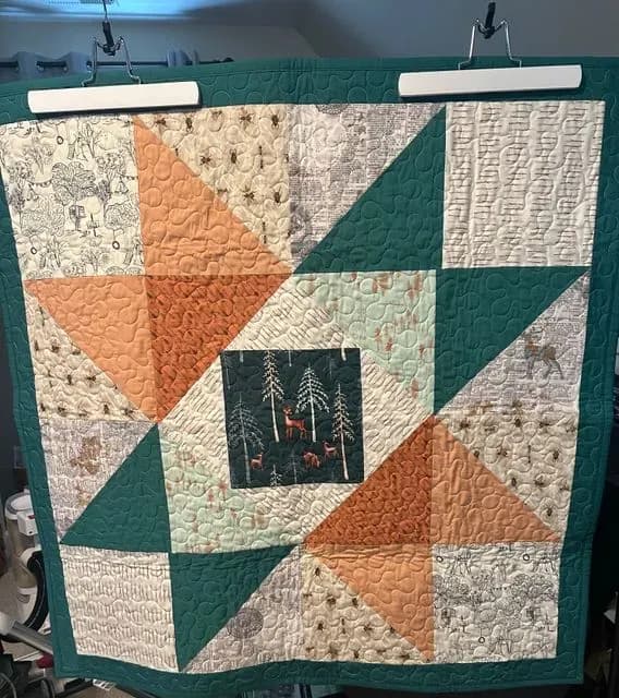 Economy Star Quilt (3)