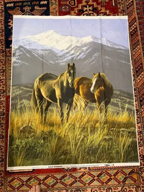 Courtney’s Horse Quilt