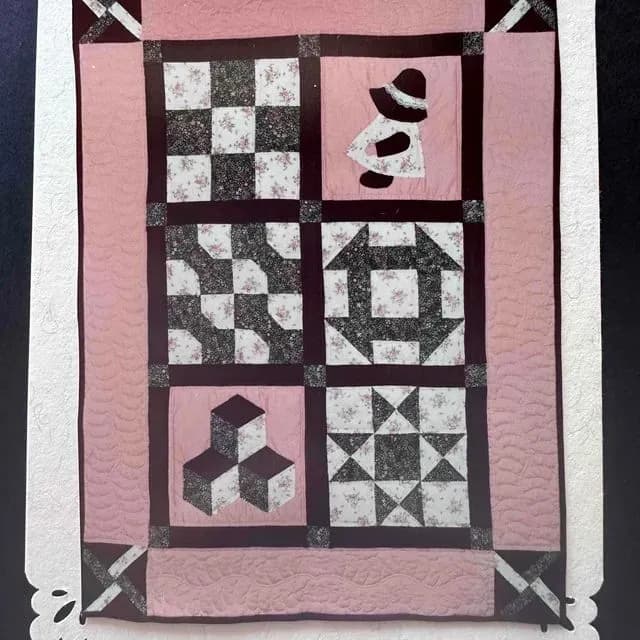 Beginner Sampler