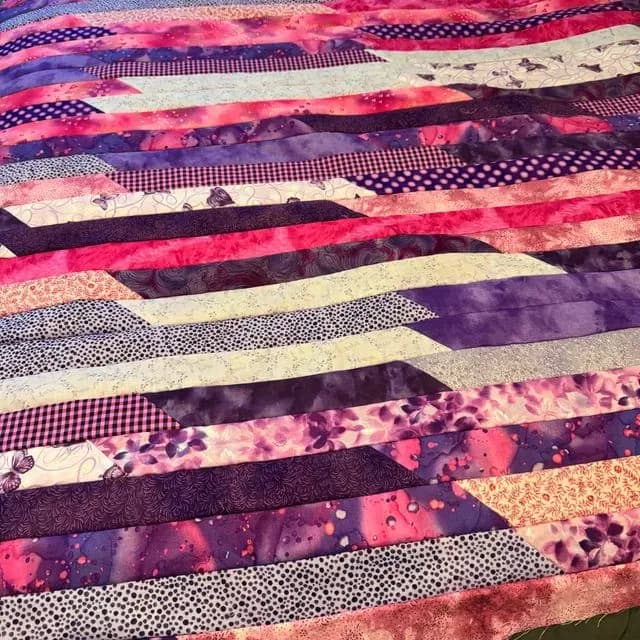 Jelly Roll Race #3