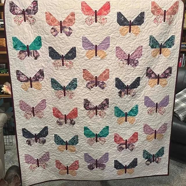 Tracy’s Butterflies