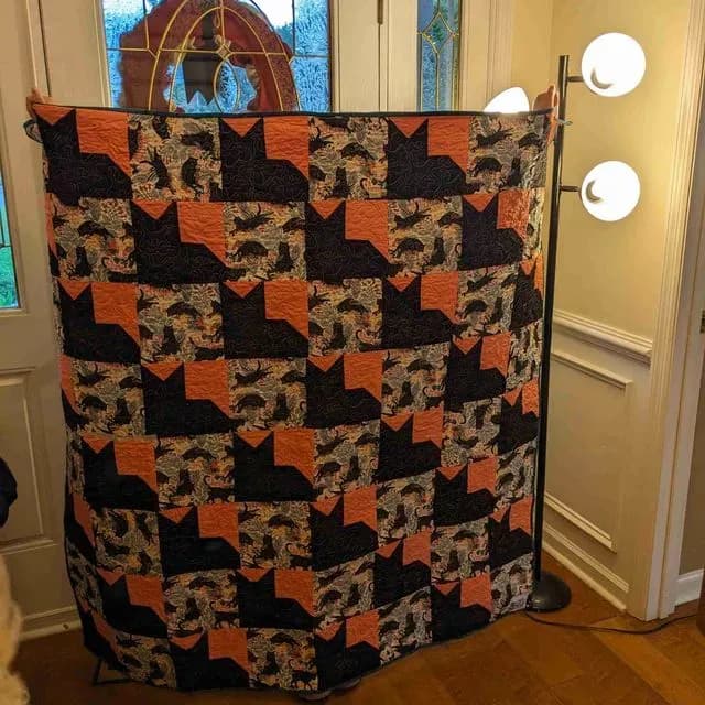 Coral Cats