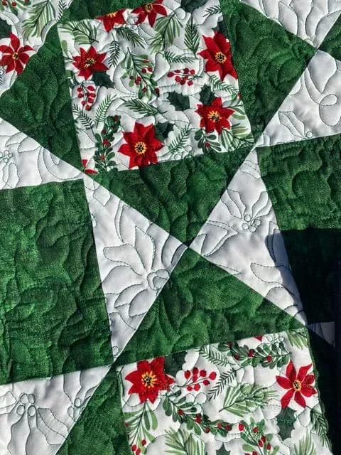 Poinsettia For Kathy
