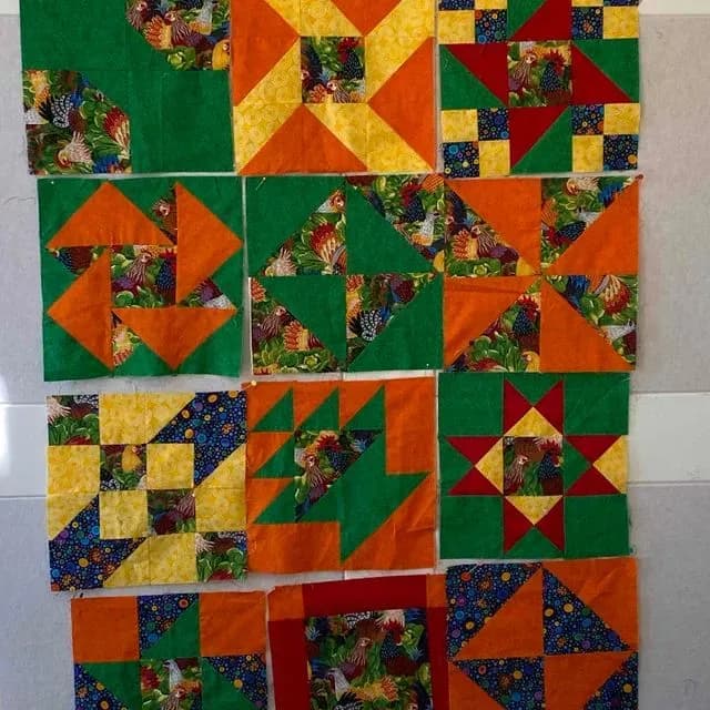 Rayna’s Chicken Quilt