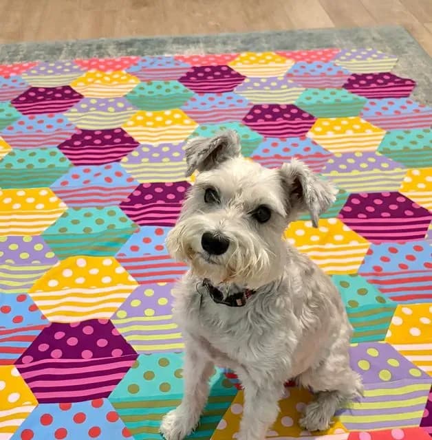 Dots And Stripes