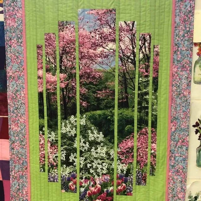 Cherry Blossoms